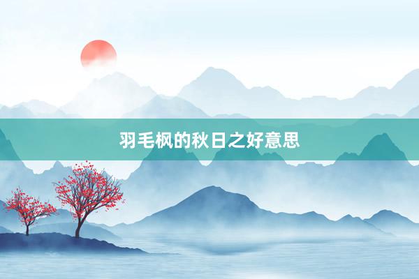 羽毛枫的秋日之好意思