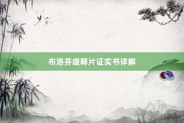布洛芬缓释片证实书详解